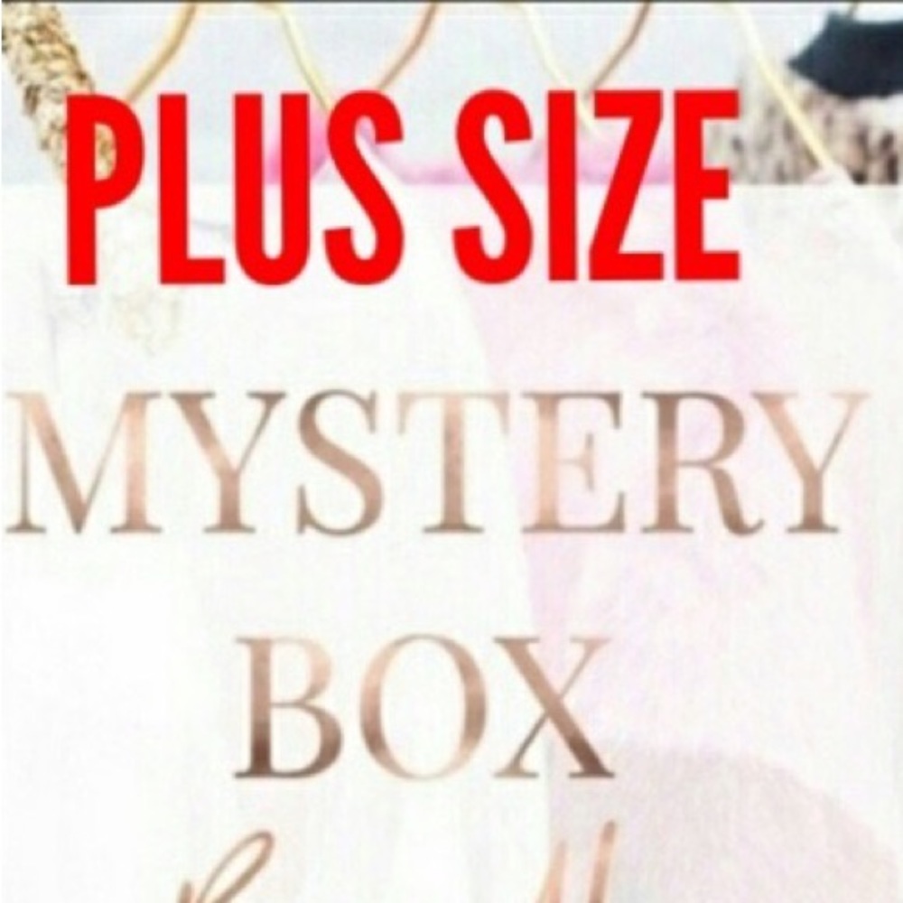 10 women plus size clothing mystery top dress accessories overstock liquidation